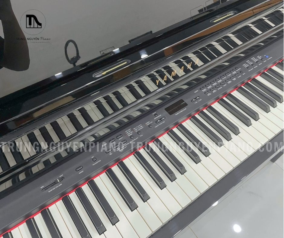 Piano Điện Yamaha CLP440 PE 16 10 1