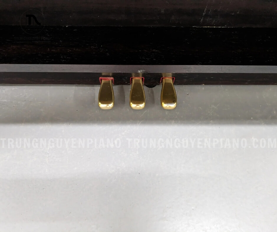 Piano Điện Roland HP530 3 3 pedal của Piano Điện Roland HP530