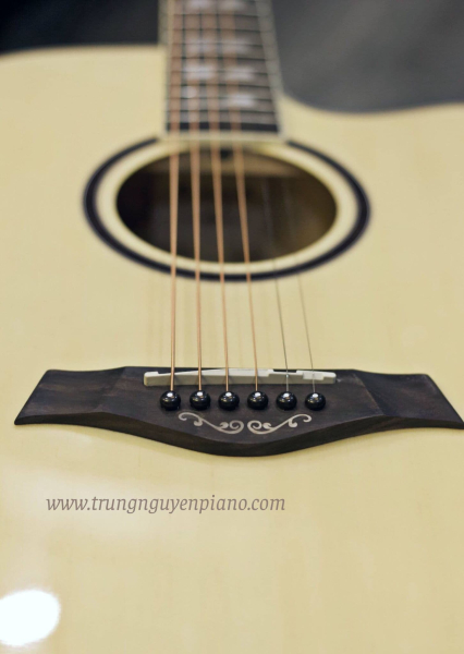 Đàn Guitar Enya ED18 sử dụng ty chỉnh chống cong 2 chiều