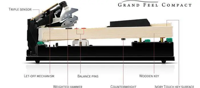 he phim grand feel compact kawai ca65