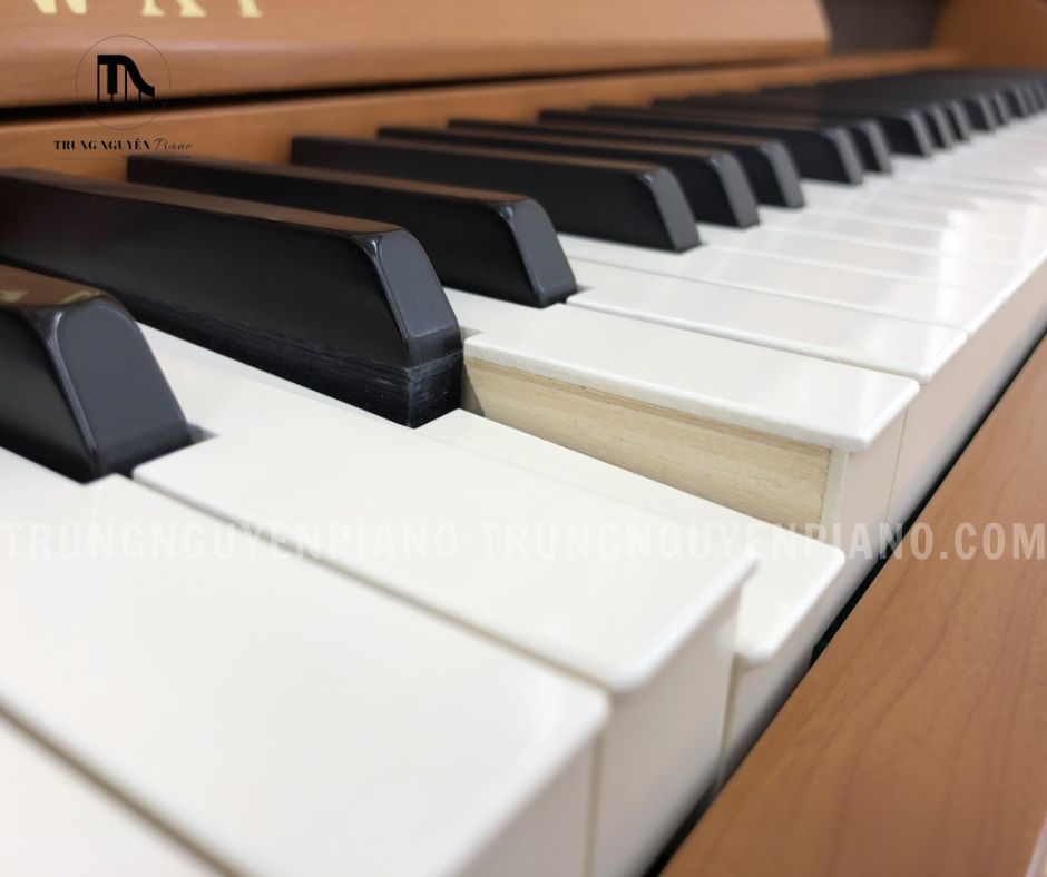 Piano điện Kawai CA63 được trang bị bàn phím cao cấp RM3
