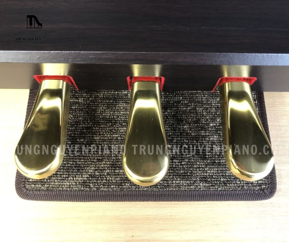 Piano Điện Kawai CN25 4 Pedal của Piano Điện Kawai CN25