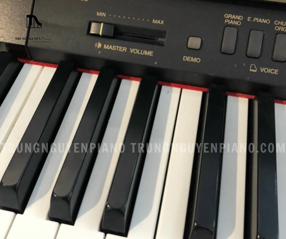 Piano Điện Yamaha CLP920 4 piano điện yamaha clp920