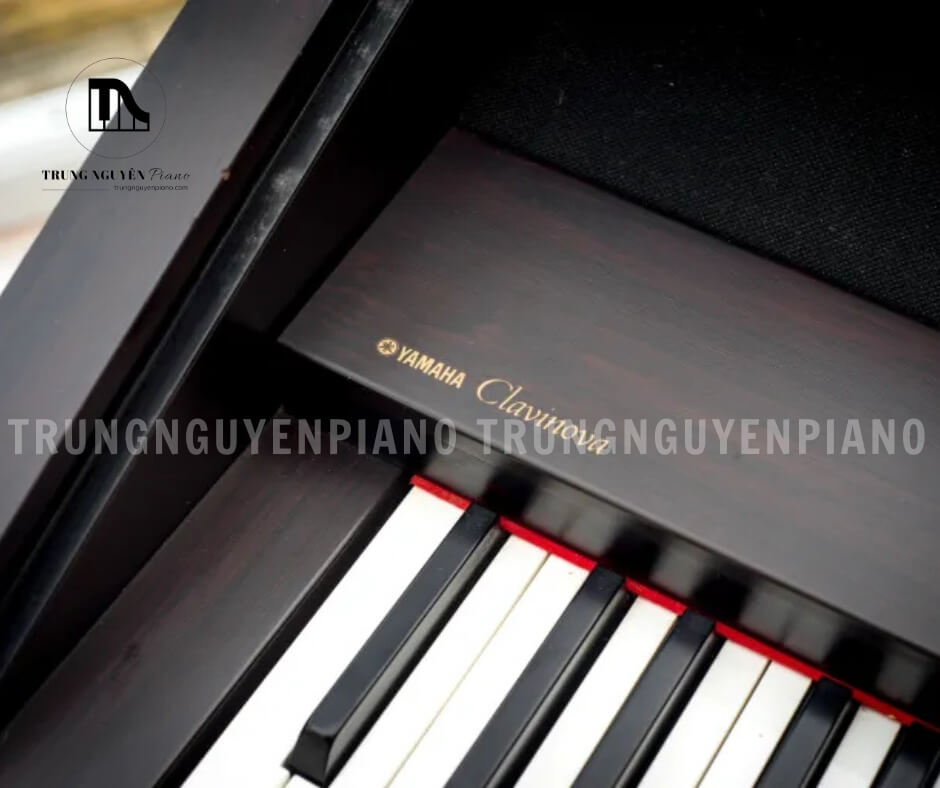 Piano Điện Yamaha CVP207