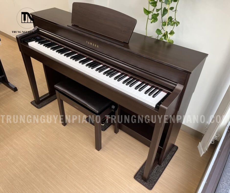Piano Điện Yamaha SCLP5350 7 Piano Điện Yamaha SCLP5350 được trang bị công nghệ Real Grand Expression