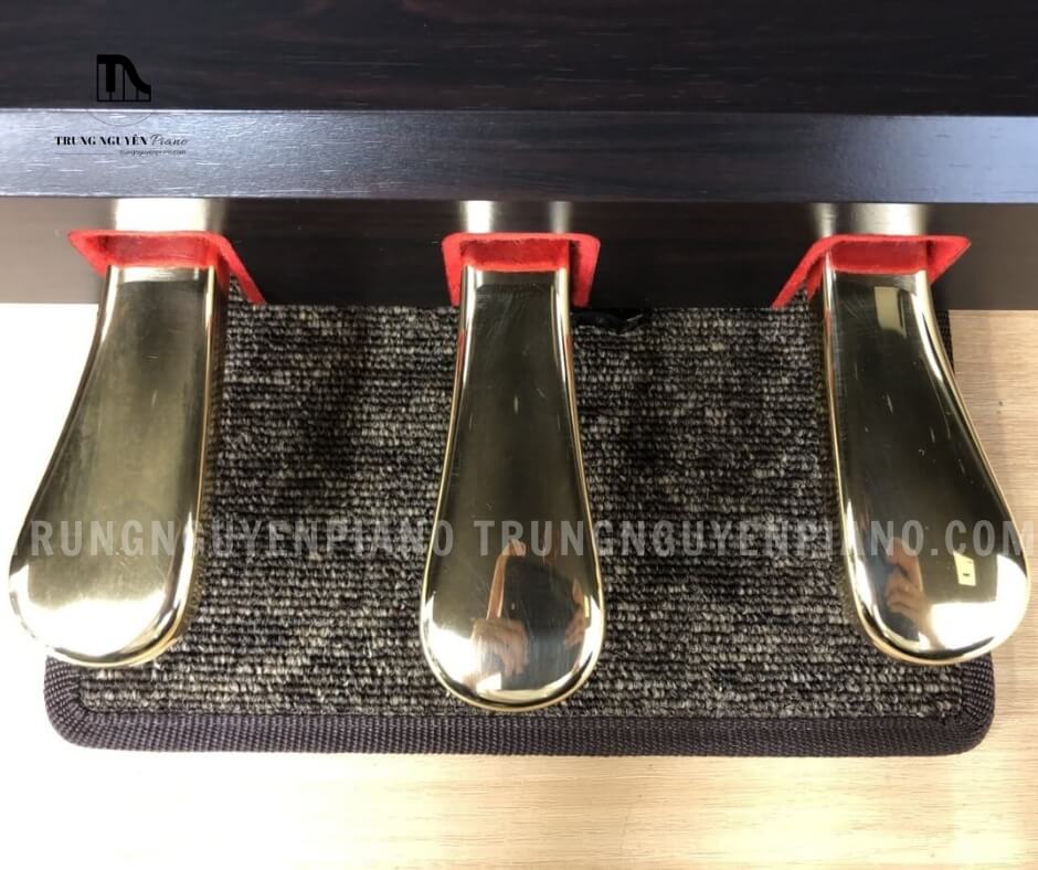 Piano Điện Yamaha YDP161 5 Pedal của Piano Điện Yamaha YDP161