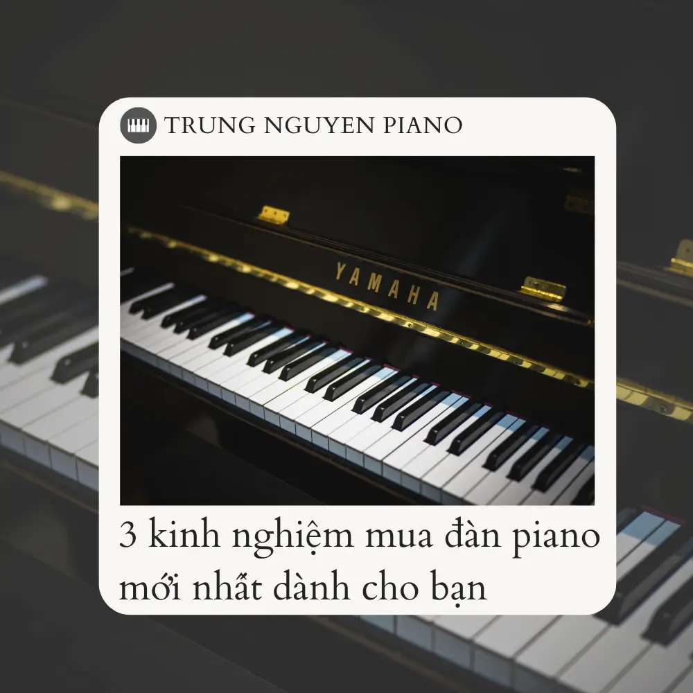 kinh nghiệm mua đàn piano