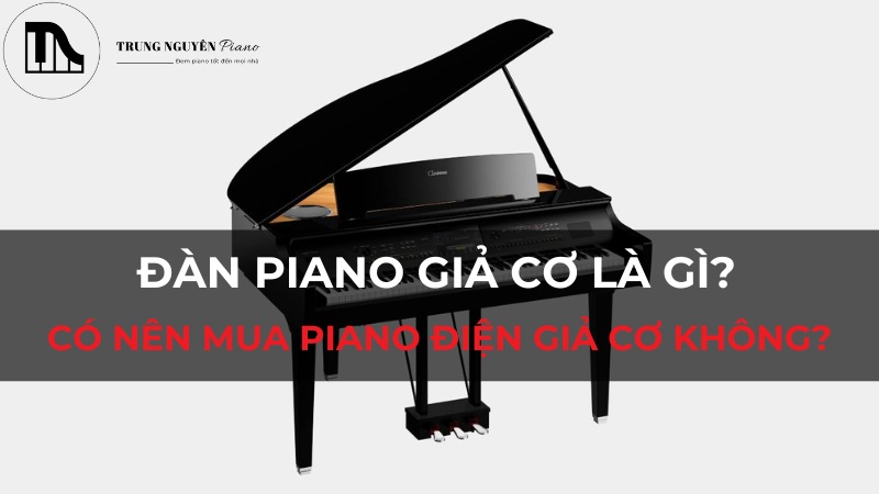 Đàn piano giả cơ là gì? Có nên mua piano điện giả cơ không?