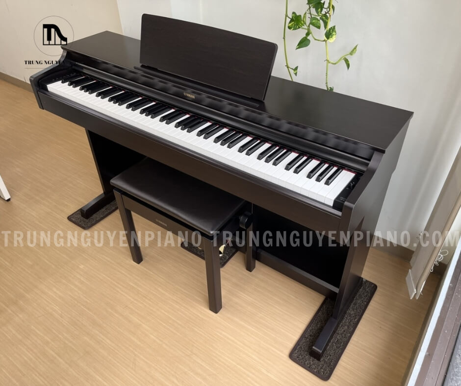 Piano Điện Yamaha YDP163 - Piano điện cũ chất lượng 2023
