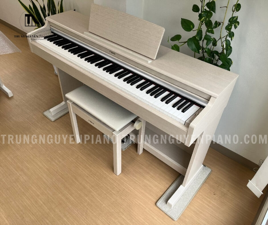 Piano Điện Yamaha YDP164WA