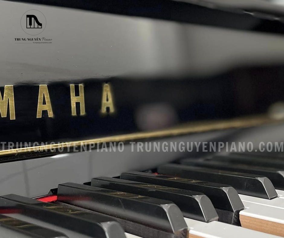 Piano Yamaha DGP7 4 Piano Yamaha DGP7 - Trung Nguyên Piano