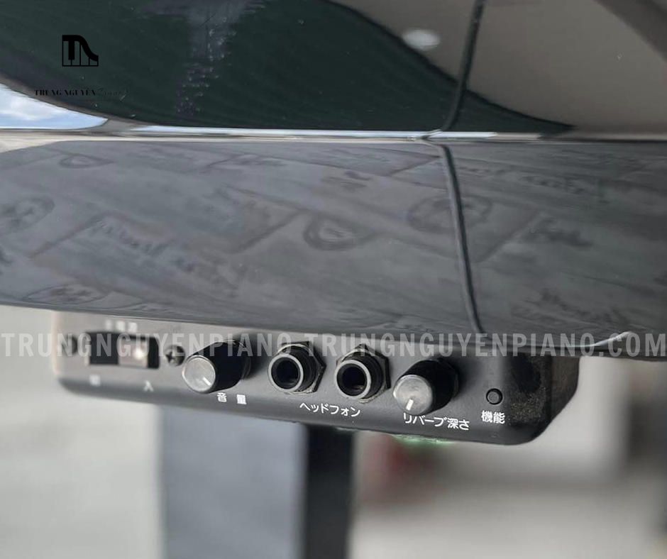 Piano Yamaha DGP7 5 Piano Yamaha DGP7 PE