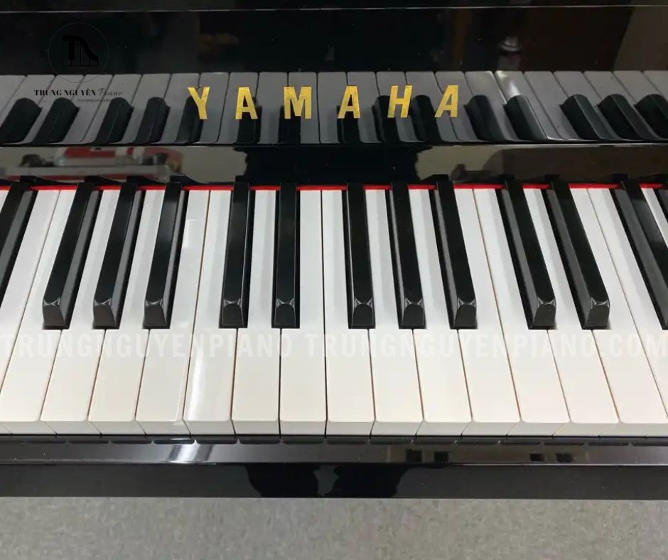 Piano Yamaha DGP7 6 Piano Yamaha DGP7 PE