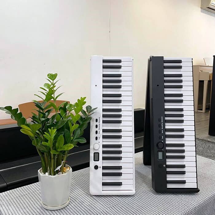 Đàn Piano Điện Gấp Gọn Bora BX20 - Trung Nguyên Piano