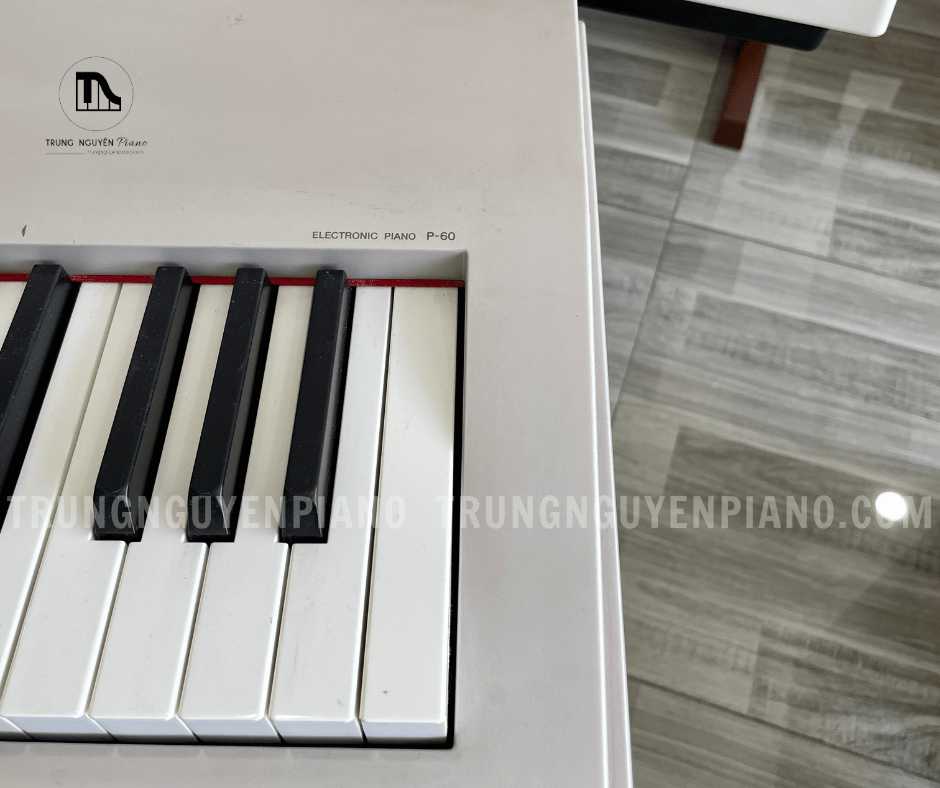 Piano Điện Yamaha P60 3 Piano Điện Yamaha P60