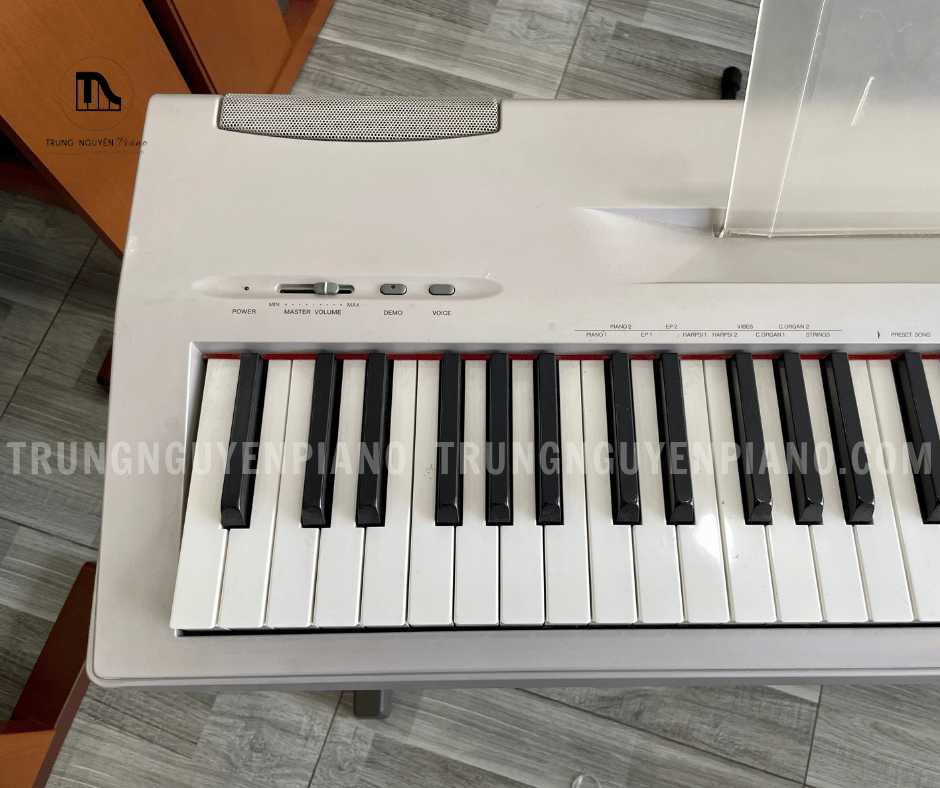 Piano Điện Yamaha P60 4 Piano Điện Yamaha P60