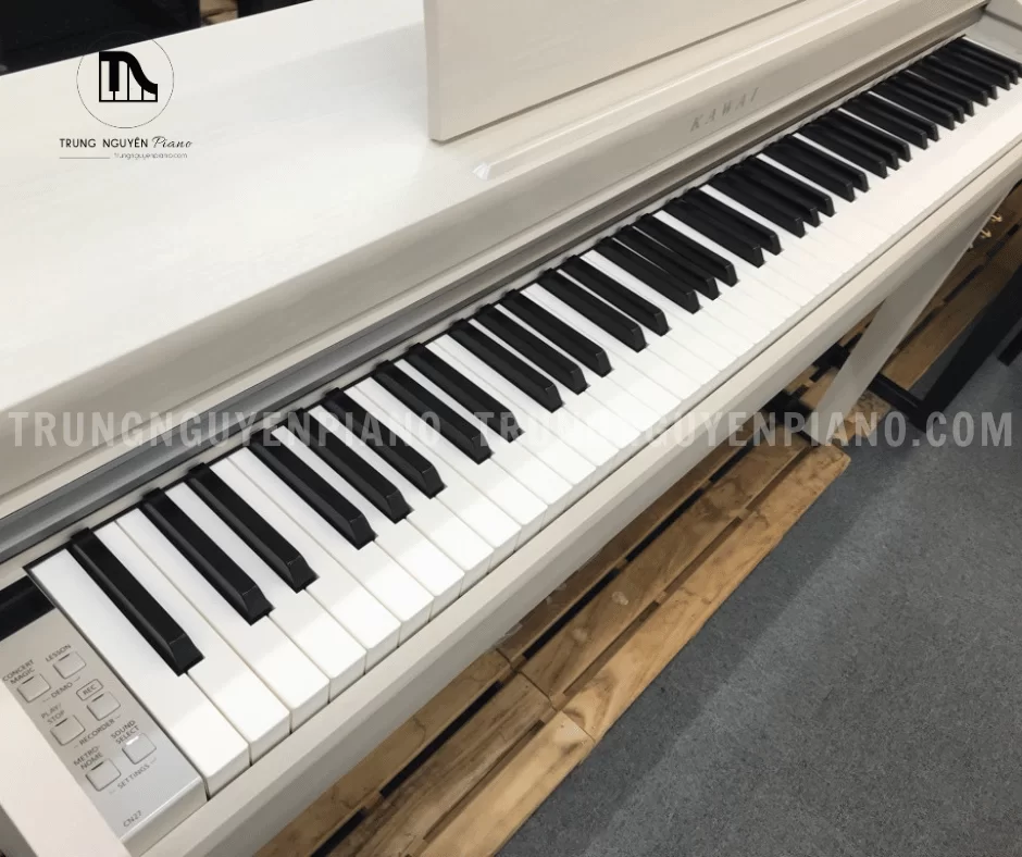 Piano Điện Kawai CN27 A - Ảnh 3