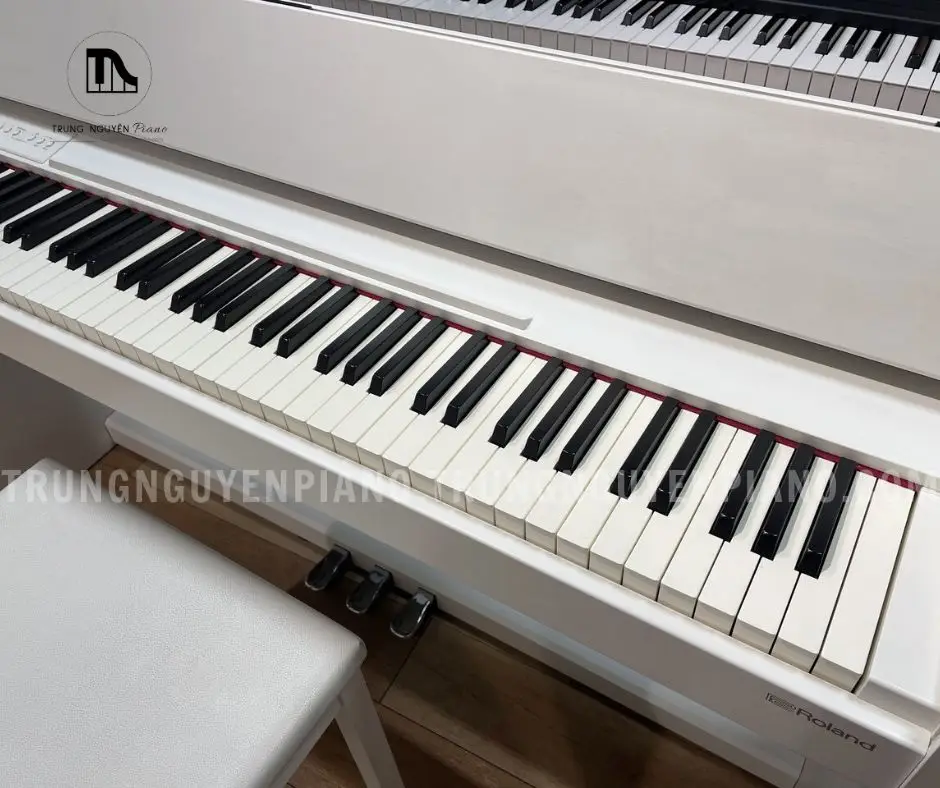 Đàn Piano Roland F140 12 19
