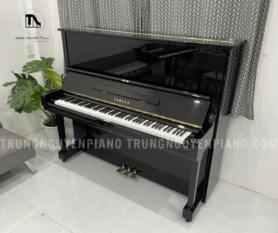 Đàn Piano Yamaha U3G 16 5 3