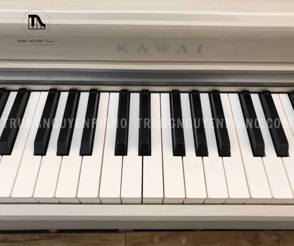 Piano Điện Kawai CN27 A 6 Piano Điện Kawai CN27 A - Ảnh 6