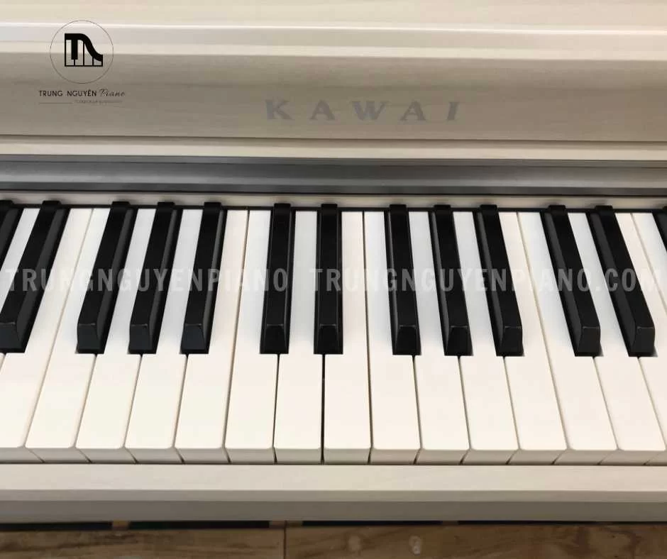 Piano Điện Kawai CN27 A - Ảnh 6
