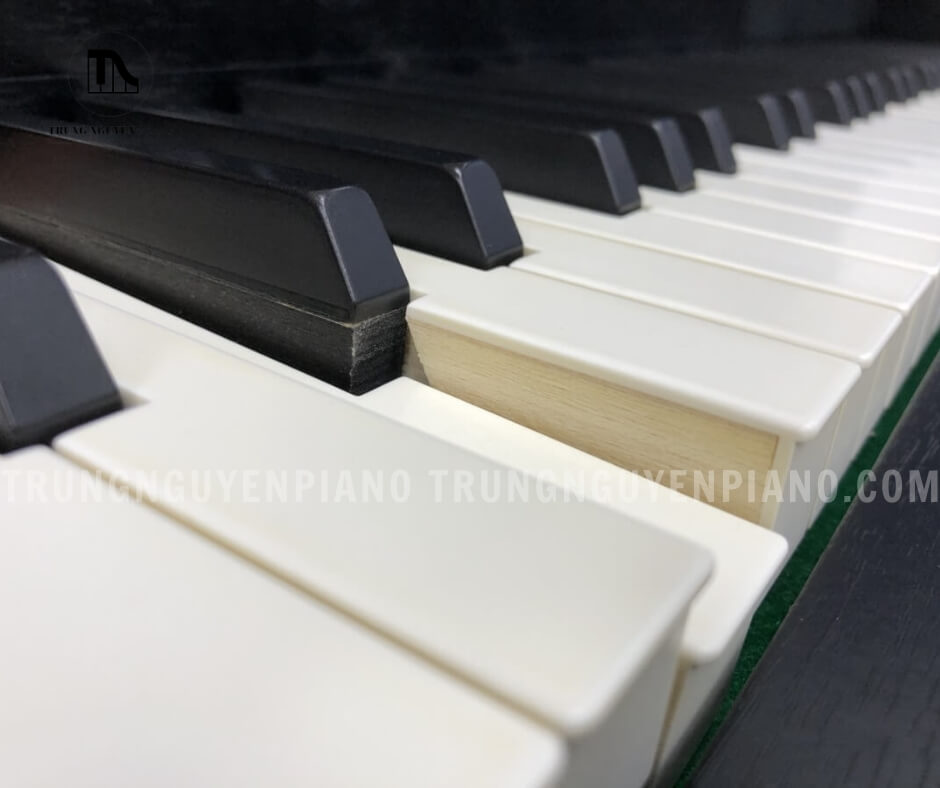 Đàn Piano Kawai CA95 B 5 Bàn phím và pedal được thiết kế tỉ mỉ