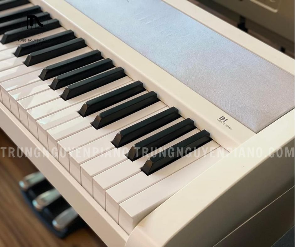 Đàn Piano Korg B2 3 Bàn phím tái tạo cảm giác của một cây đàn Piano cơ.