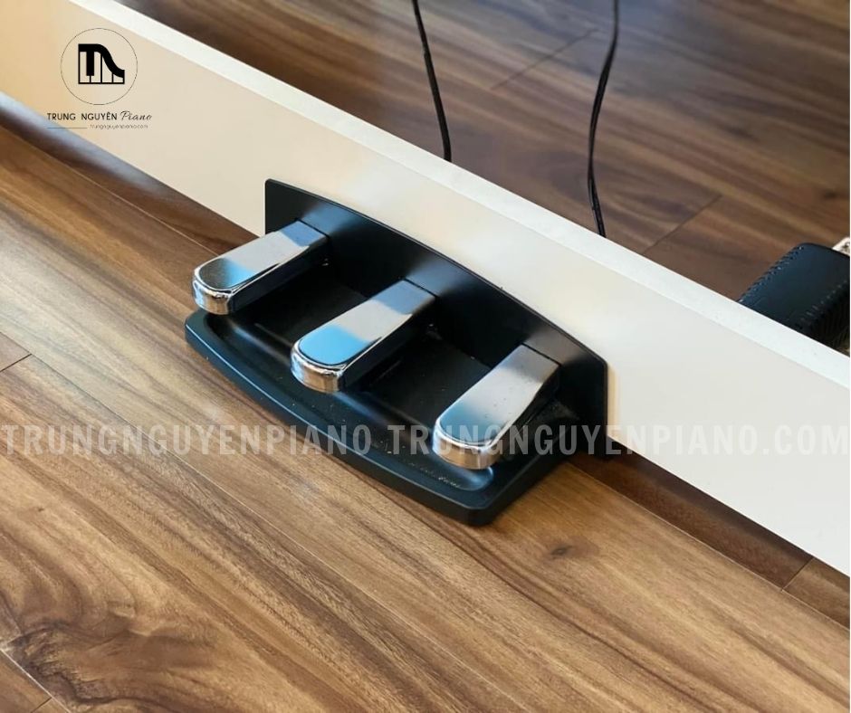 Pedal của Đàn Piano Korg B2