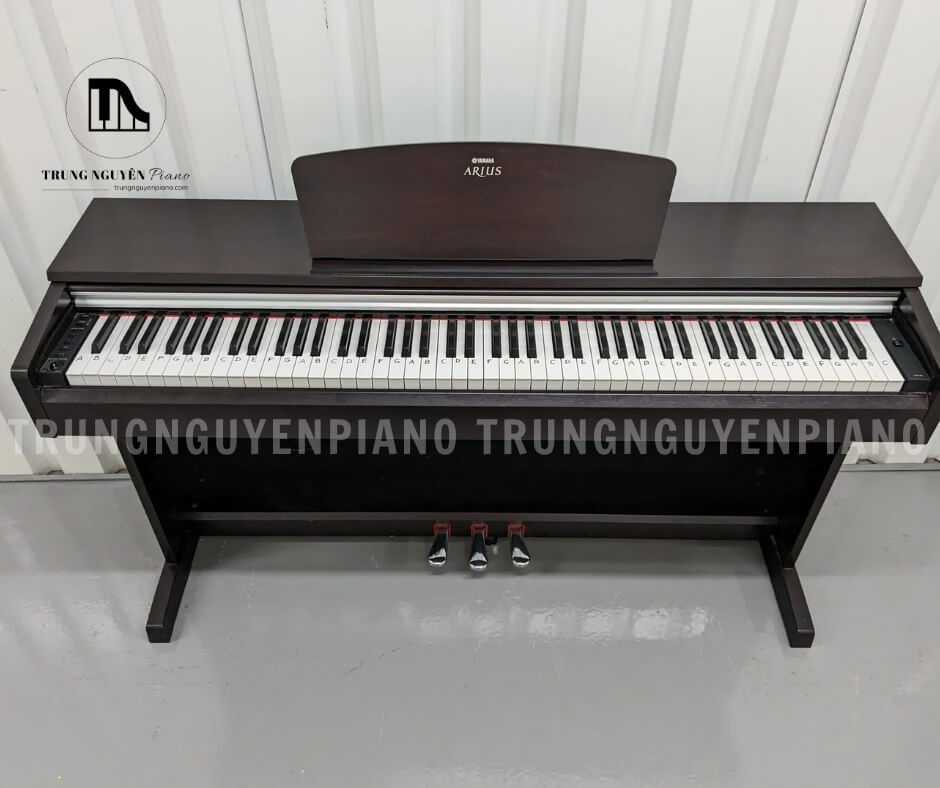 Đàn Piano Yamaha YDP-135