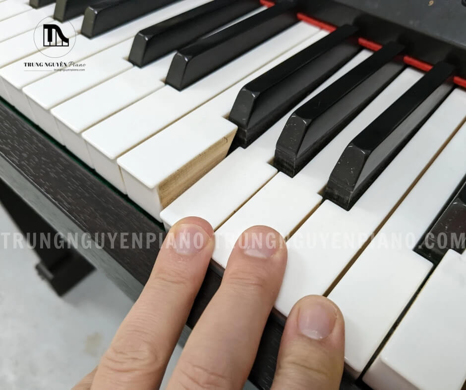Đàn Piano Điện Kawai CA91 4 Đàn Piano Điện Kawai CA91 với bàn phím gỗ AWA GRAND PRO II
