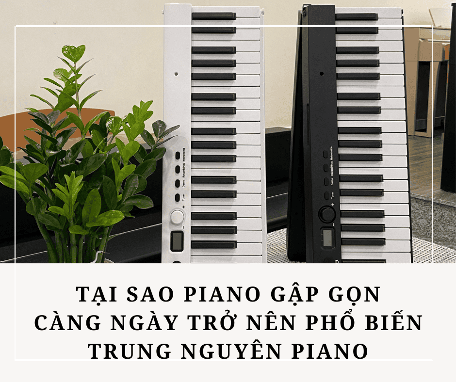 PIANO-gap-gon