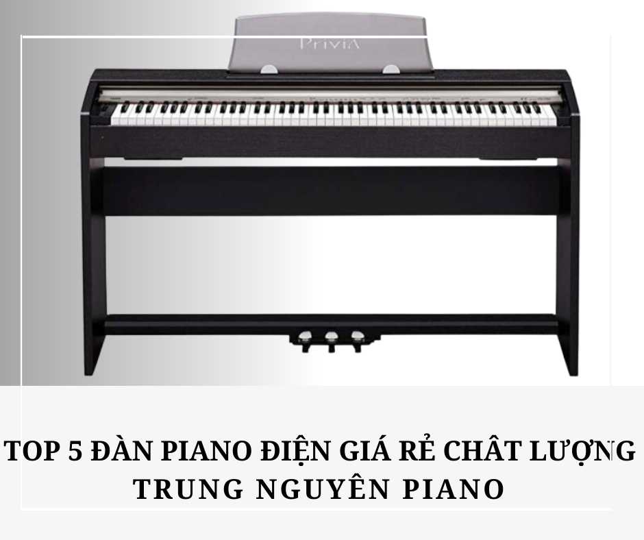 dan-piano-dien