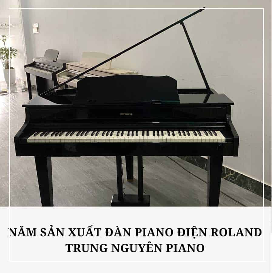 nam-san-xuat-dan-piano-dien-roland