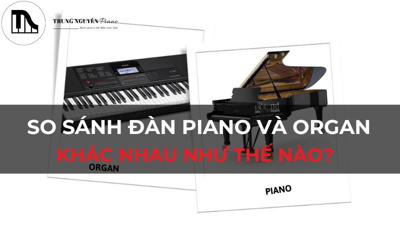 So sánh đàn piano và organ khác nhau như thế nào? Phân biệt chi tiết