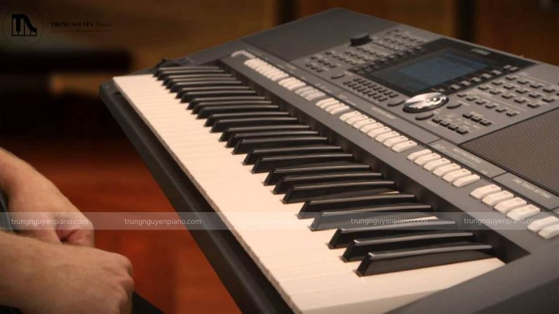 So sánh đàn piano và organ khác nhau như thế nào? Phân biệt chi tiết 9 Organ phù hợp cho gia đình muốn đầu tư ở mức giá thấp