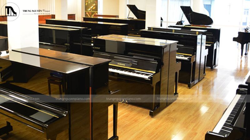 So sánh đàn piano và organ khác nhau như thế nào? Phân biệt chi tiết 7 Đàn piano, đặc biệt là piano cơ, thường có giá cao hơn