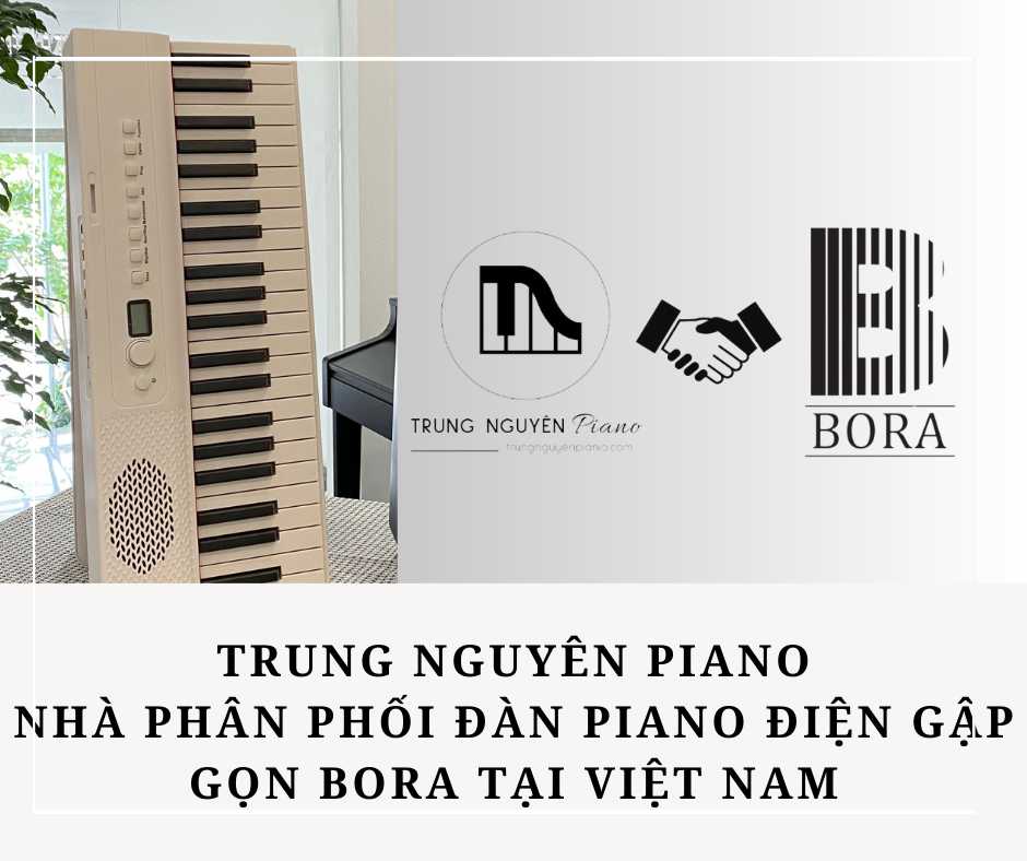 nha-phan-phoi-dan-piano-dien-gap-gon-bora