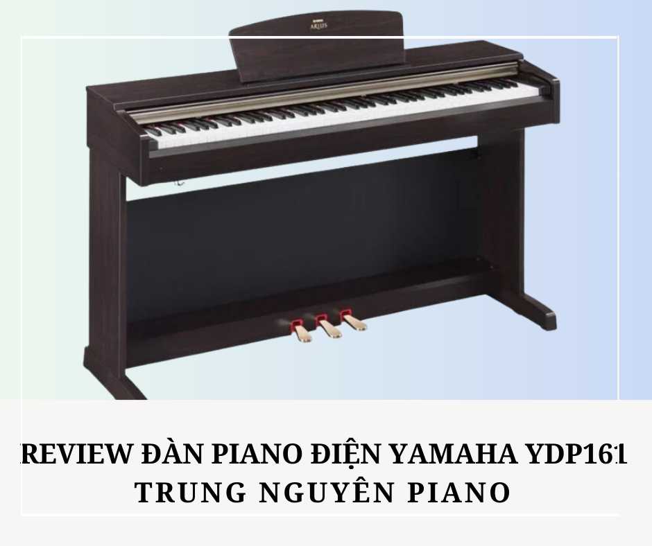review-dan-piano-dien-yamaha-ydp161