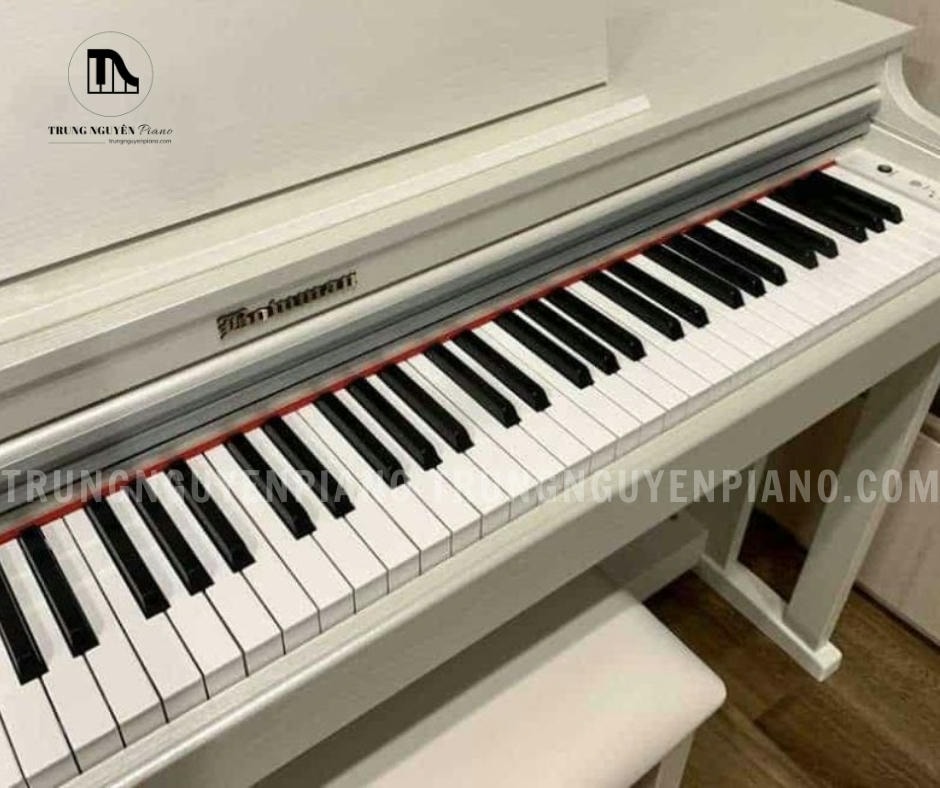 Piano Điện BOWMAN CX-230 (NEW) 12 Piano Điện BOWMAN CX-230 (NEW) có độ cảm nhận bàn phím hoàn hảo
