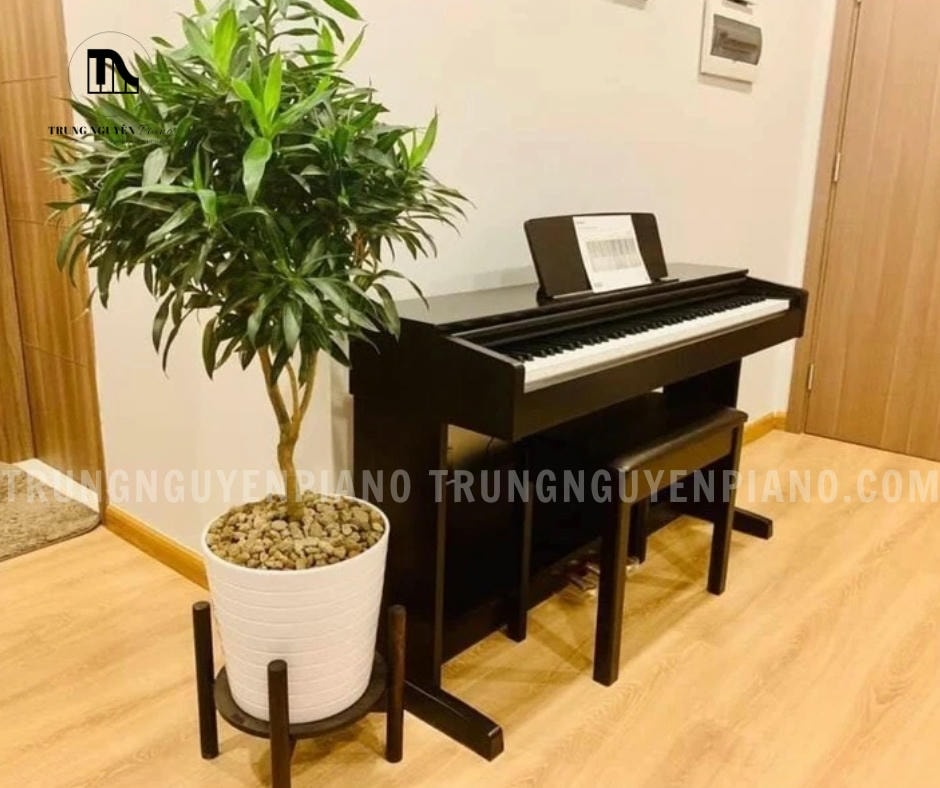 Piano Điện BOWMAN CX-280 (NEW) 3 Piano Điện BOWMAN CX-280 (NEW) có thiết kế tinh tế và các tính năng có hiệu suất tuyệt vời