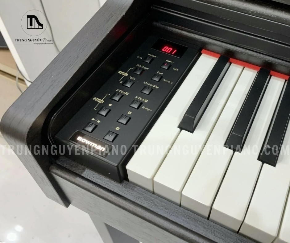 Piano Điện BOWMAN CX-350 (NEW) 5 Piano Điện BOWMAN CX-350 sở hữu 88 phím tiêu chuẩn, độ nhạy tốt