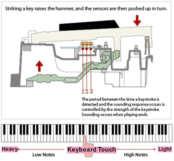 Piano điện Casio AP270 16 Piano-dien-Casio-Ap270