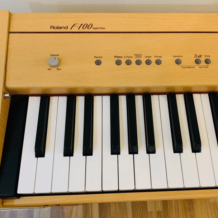 Piano điện Roland F100 10 piano-dien-roland-f100
