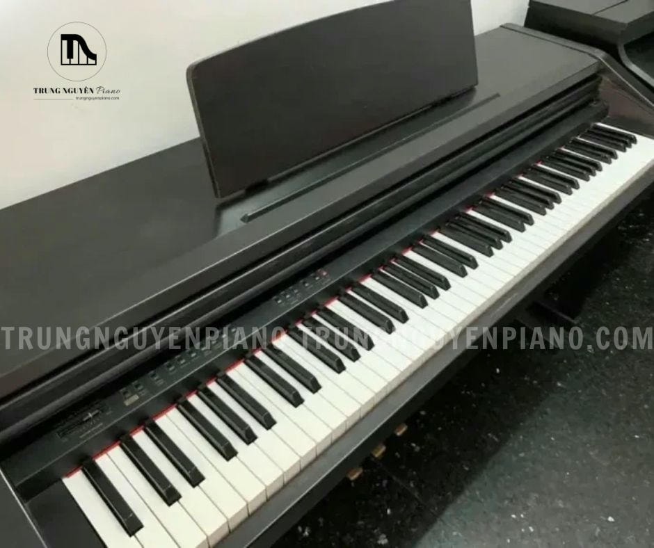 Piano điện Kawai PN220 sở hữu bàn phím tiêu chuẩn và đem lại cảm giác chân thực