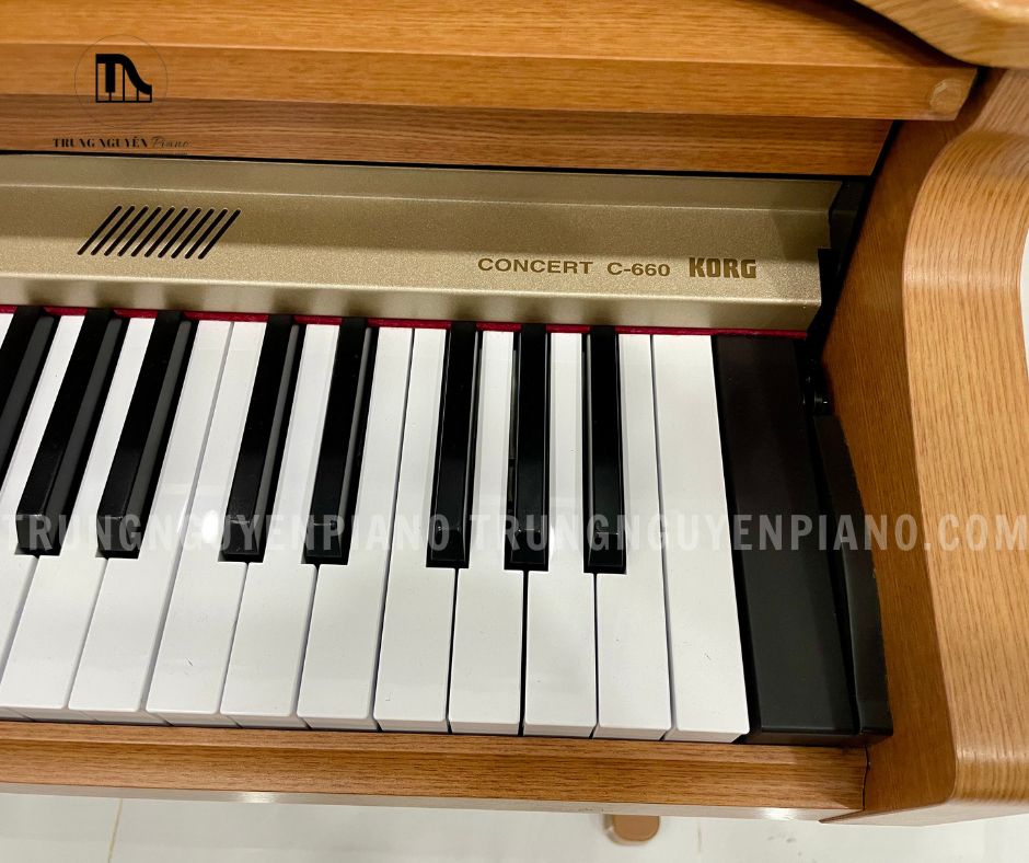 Piano điện Korg C660 6 Bàn phím của Piano điện Korg C660