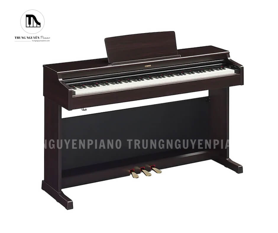 Piano điện Yamaha YDP165 có thiết kế sang trọng