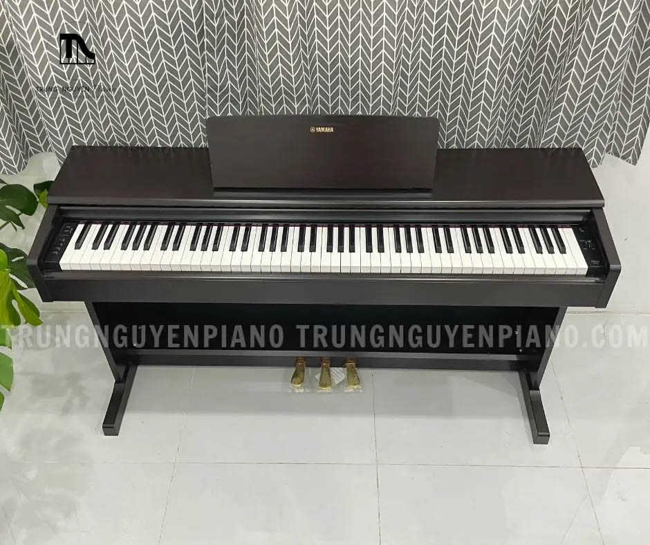 Piano Điện Yamaha YDP144 - Piano điện cũ chất lượng 2023