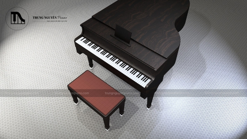Kích thước đàn Piano - Cách chọn phù hợp với không gian và nhu cầu 3 Chọn loại đàn phù hợp với phong cách âm nhạc