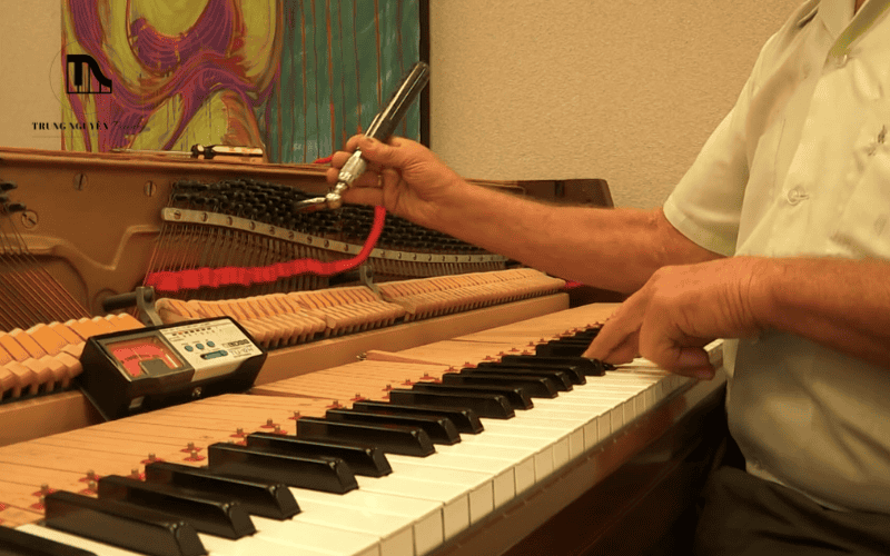 Dịch vụ bảo hành và hỗ trợ sau mua Piano chính hãng