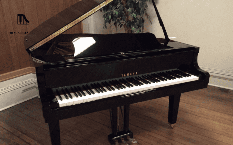 Mỗi sản phẩm Piano chính hãng đều có giấy tờ nguồn gốc